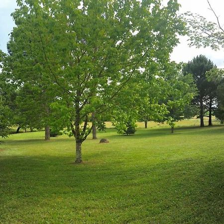 Une pause nature chez Marion et Cédric Montignac-Toupinerie Exterior foto